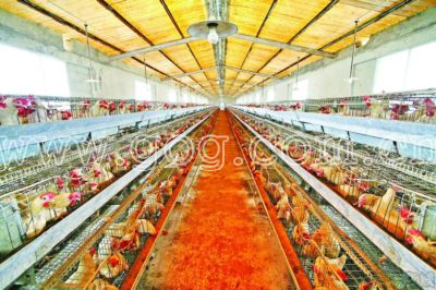 TMˈĵˡCסFݵĆTÙzy棬׌