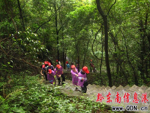 感受施秉云臺(tái)山:貴州版黃山(組圖)