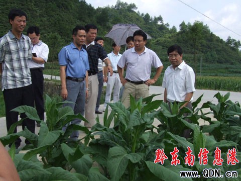 馮仕文到施秉縣調(diào)研(組圖)