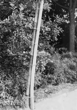 1M(fi)60Ԫ ؑc3fr(nng)