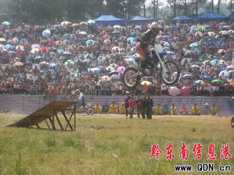 廣西客牛“喧賓奪主” 扣眼+扣腮勇奪魁(圖)