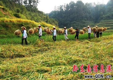 自覺調節人口生育的貴州侗寨——占里(組圖)