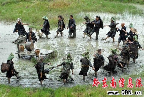 ݡˮ衷QCCTVҕ赸ِD