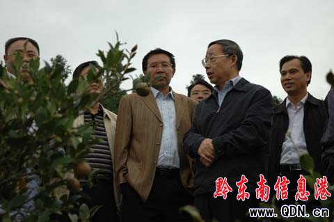 省長林樹森到天柱調研(組圖)