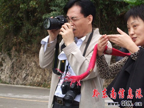 ȫ41W(wng)j(lu)ýwCMD