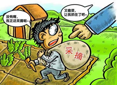 戎國強:偷菜改采摘太正經了