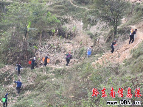 黎平1.92萬人口和1.5萬頭牲口嚴重缺水(圖)