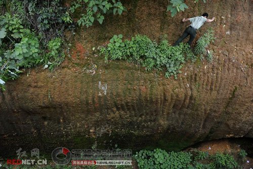 消防員攀爬懸崖救寵物狗(組圖)