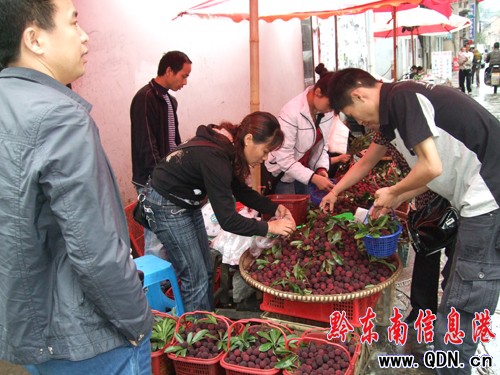 雷山4800多畝科技楊梅上市受青睞(圖)