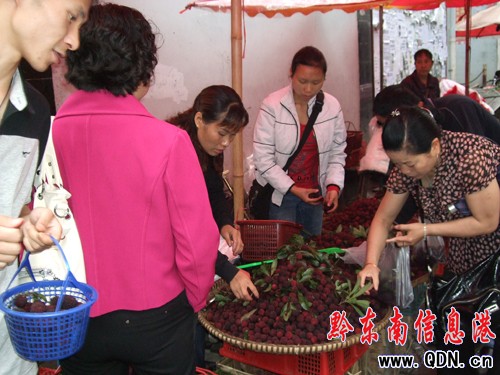 雷山4800多畝科技楊梅上市受青睞(圖)