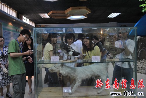 八所名校辯論精英赴苗鄉(xiāng)侗寨考察民族風(fēng)情