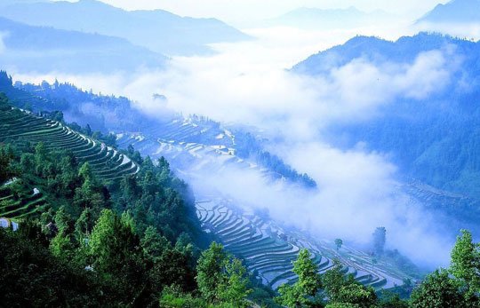 美不可言 貴州五大秒殺攝影師的梯田(組圖)