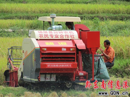 錦屏鐘靈鄉(xiāng)百臺農(nóng)機具奏響秋收曲