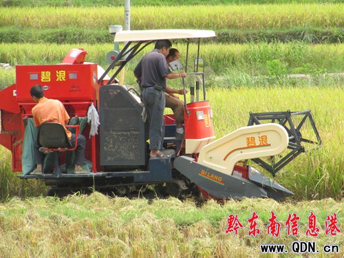 錦屏鐘靈鄉(xiāng)百臺農(nóng)機具奏響秋收曲