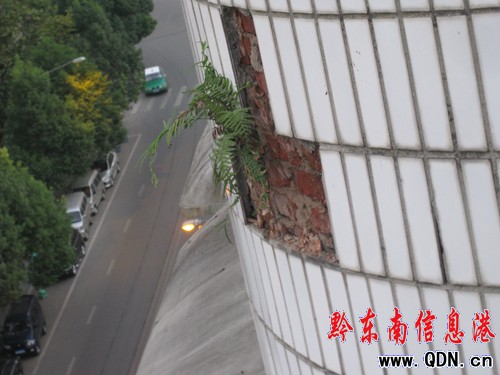 ɴuĸߘǉ ʯMw҂񣨈D