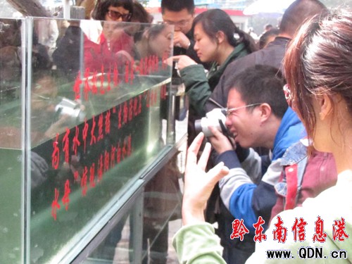 黃金周期間 舞陽河上又現“桃花水母”(圖)