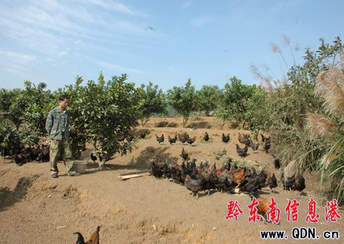 WI(y)ʯcͶ10f(chung)I(y)B(yng)uD