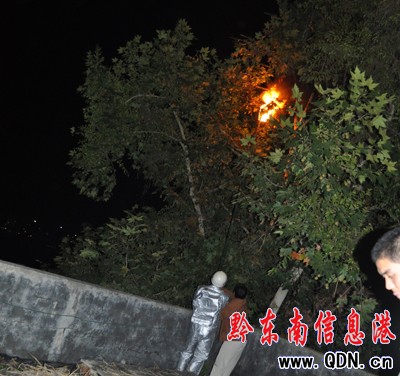 從江消防上演“人蜂大戰” 摘除一巨型蜂窩(圖)