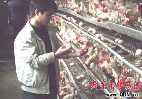 ´򹤌W(xu)g(sh)  ؼl(xing)(dng)ϰ壨D