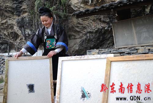 丹寨:冬日農閑造紙忙(圖)