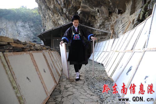 丹寨:冬日農閑造紙忙(圖)