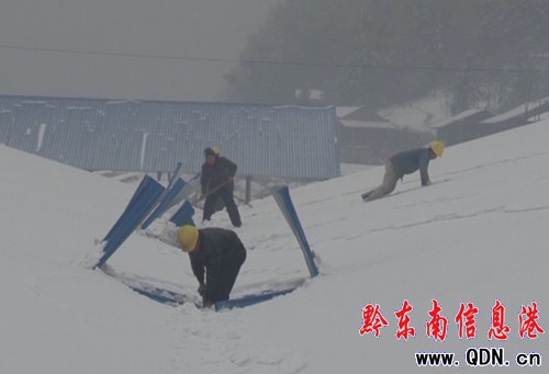 \ιI(y)@^(q)Seѩ pʧ500f