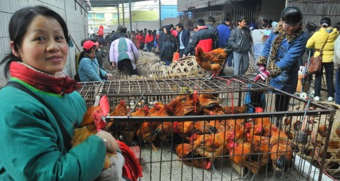 凱里市民趕年集喜氣洋洋迎新春過大年(組團)