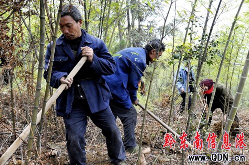 組民變股民 荒山變金山 困境變風(fēng)景