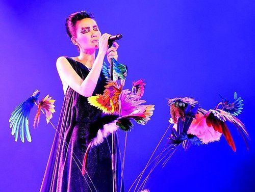 Ƃ(g)ӊyع ^֩W(wng)δʮ