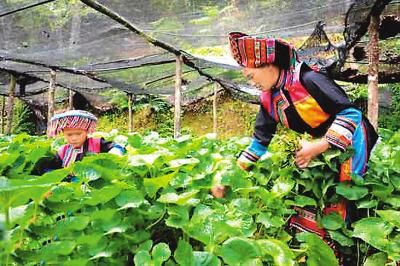 Ї{(dio)ؚ(bio)(zhn) ؚ˿ڻطһ|D