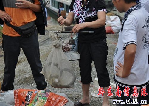 劍河南加鎮(zhèn)非法收蛇 相關部門應制止(圖)