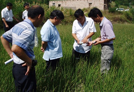 h(yun)һеSƽhzָ(do)Ȟ(zi)