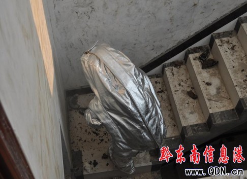 馬蜂窩瘋狂蟄人 岑鞏大隊(duì)為民除