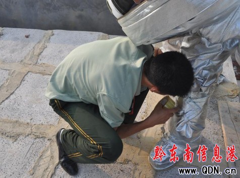 馬蜂窩瘋狂蟄人 岑鞏大隊(duì)為民除