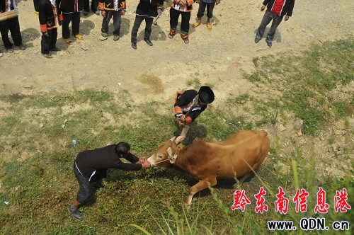 ɽկhƃxʽҎ(gu)fףMD