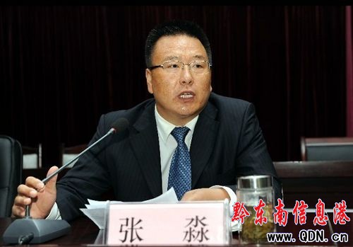 張淼出任貴州丹寨縣委書記(圖)