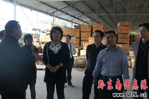 臺江縣委書記戚詠梅深入工業園區等地調研