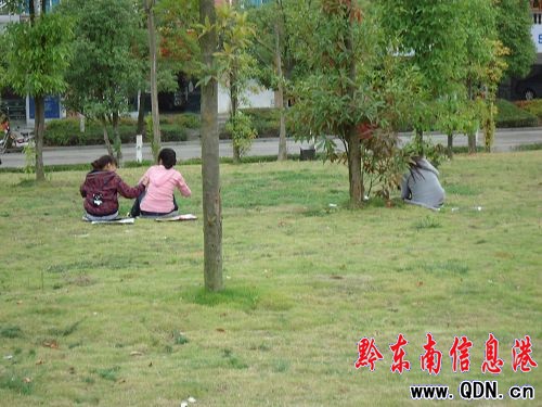 花花草草需要愛 請腳下留情綠化帶(圖)