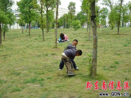 花花草草需要愛 請腳下留情綠化帶(圖)