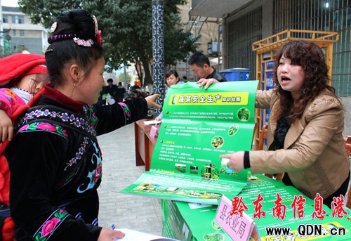 雷山農業開展蔬菜生產技術科普宣傳活動(圖)