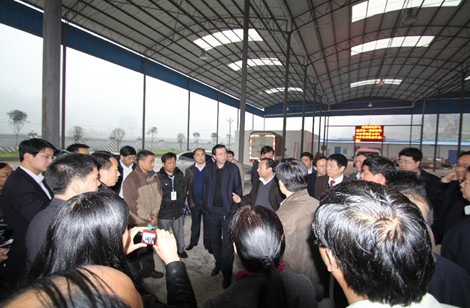 L(zhng)wS{(dio)нMP{(dio)УMD