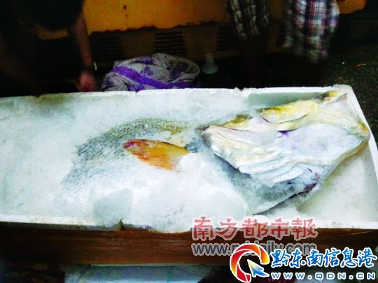 @lS~_160һo¡{Ј󡷹D