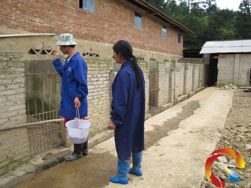 ǣxM(jn)ɽιҰi±B(yng)¸·D