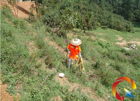 環衛工人正在撿拾垃圾