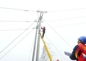 P늾Wݔ늾·259l 񸲱20